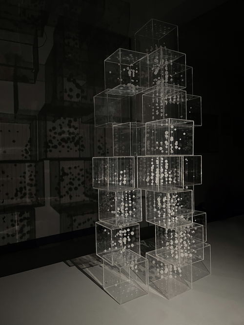 中央美术学院城市设计学院 艺术品材料 工艺与制作基础 课程汇报展