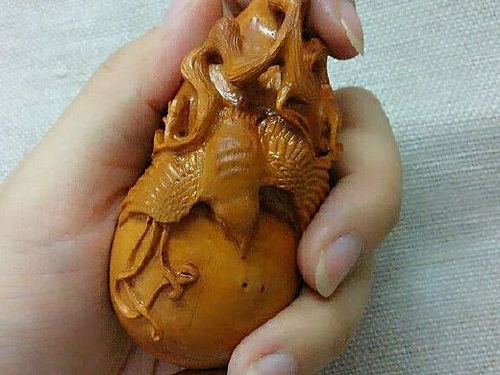 航妹创作者主页 葫芦岛插画师 站酷zcool
