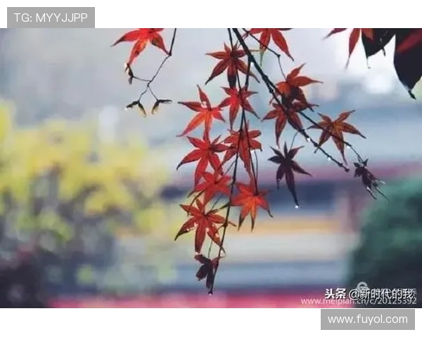 伊万告别漂泊岁月回归家庭享受温情时光重新书写人生新篇章 伊万告别漂泊岁月回归家庭享受温情时光重新书写人生新篇章